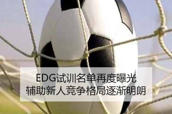 EDG试训名单再度曝光 辅助新人竞争格局逐渐明朗